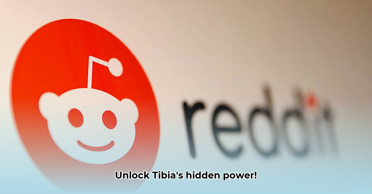 reddit-tibia